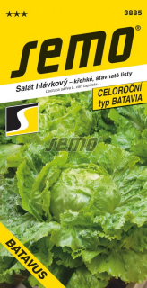 Šalat celoročný Batavus 0,6g S