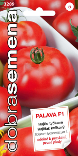 Rajčiak kolíkový Palava 20s
