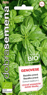 Bazalka pravá Genovese 0,6g DobraSemena