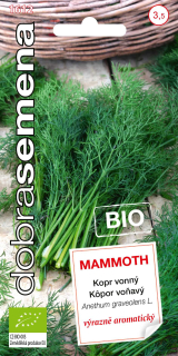 Kopor voňavý Mammoth BIO 3gr. DobraSemena