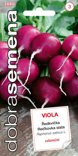 Reďkovka fialová VIOLA 4g DobraSemena