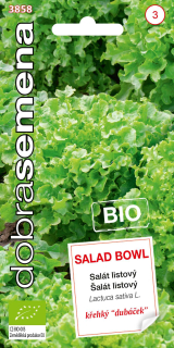 Salat listovy Salad Bowl BIO 0,5g D
