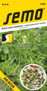 Hrach siaty kučeravý Akacia