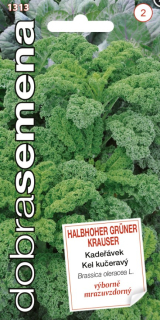 Kel kučeravý Halbhoher Gruner Krauser 1g