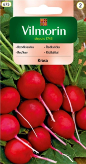 Reďkovka červená guľatá skorá Krasa 10g, Vilmorin