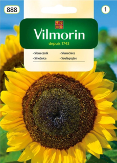 Slnečnica jednoročná na konzum 20g, Vilmorin