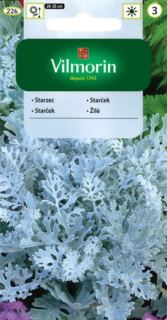 Starček prímorský strieborný 0,3g, Vilmorin