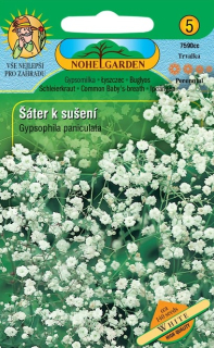 Gypsophila paniculata biela - na sušenie
