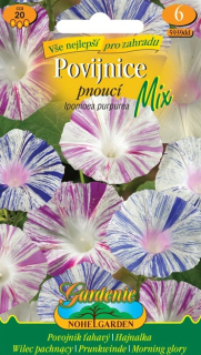 Povojník ťahavý mix -ipomea purpurea N
