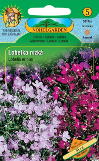 Lobelka nízka mix N