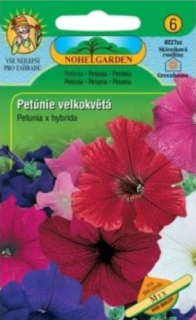 Petúnia veľkokvetá F2 N