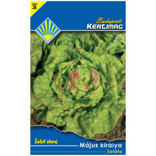 Šalát jarný KRÁĽ MÁJA 2g K