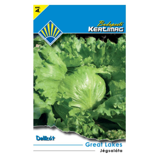 Salat celoroč. Great Lakes 2g K