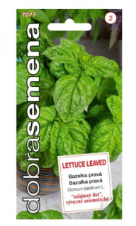 Bazalka pravá Lettuce Leaved 0,8g D
