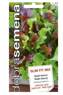 Salat listovy SlimFitMix 2g D