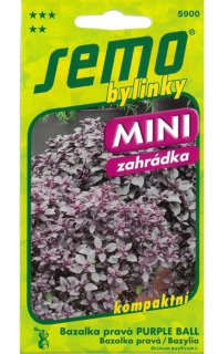 Bazalka pravá Purple Ball 20s S