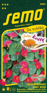 Kapucínka Baby rose 2g S