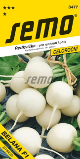 Redkovka biela Belana F1 S