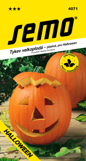 Tekvica GIGANTA Hallowe. S