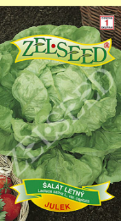 Salat letný JULEK        Z
