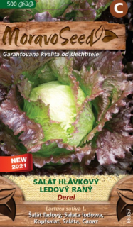 Salat ladový DEREL skorý M