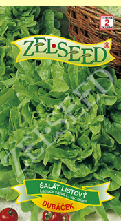 Salat listovy DUBACEK    Z