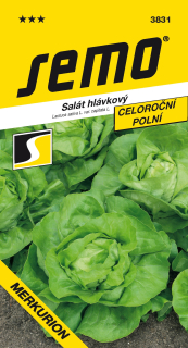Salat celoroč. MERKURION S
