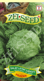 Salat ľadový PRAZAN      Z