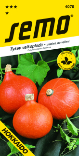 Tekvica HOKAIDO          S