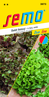 Salat listovy BOWL zmes  S