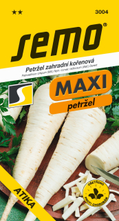 Petržlen kor. ATIKA S