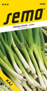 Cibuľa zimná KAJ celoroč.S