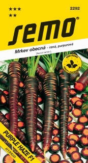 MRKVA PURPLE HAZE F1 0,5g