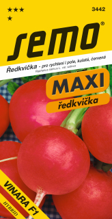 Reďkovka MAXI VINARA F1 S