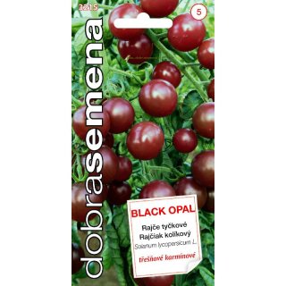 RAJČIAK KOL. ČEREŠ. BLACK OPAL 15s