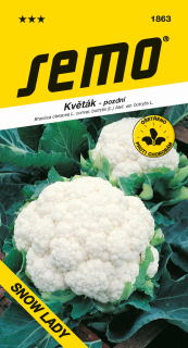 KARFIOL SNOW LADY LETNY A JESENNÝ 50s.