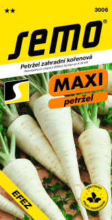 Petržlen záhradný EFEZ - koreňový