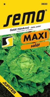 Salat letný JUPITER      S