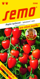 RAJČIAK KOL. GARDENBERRY F1 12s.