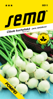 Cibuľa POMPEJ lahodkova S