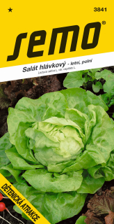 Salat letný DET.ATRAKCIA S