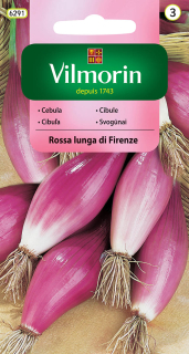 Cibuľa Rossa Lunga Di Firenze SC3 ružová zväzk