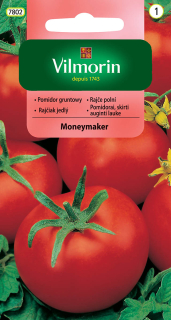 Rajčiak kol.MONEYMAKER V