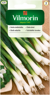 Cibuľa ozimná zväzková Bajkal V