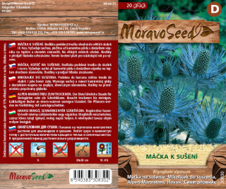 Kotúč alpský Eryngium M