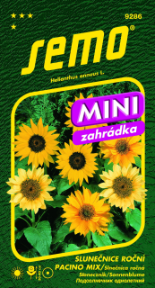 Slnečnica PACINO MIX S
