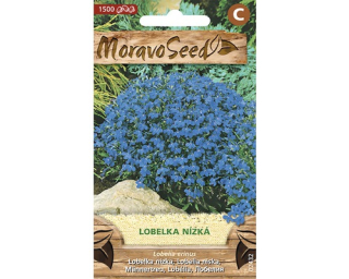 Lobelia er/lobelka/mo =