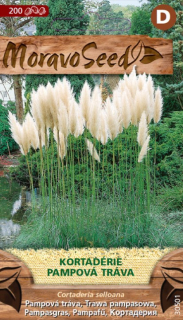 Kortadéria pampová biela, Moravoseed