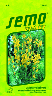 Divozel veľkokvetý S