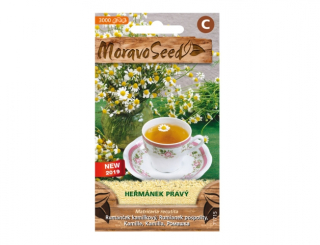 Harmanček pravý